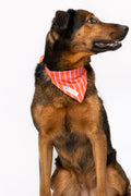 Bandana Jeannette