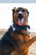 Bandana Marion